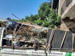 Best Scrap Metal Removal  in Clayton, NM
